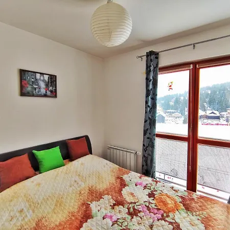 Snow Apartment